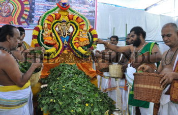 Image Id : 158176270 <span>Date : 2014-11-11 <span>Category : Religion and Belief</span>