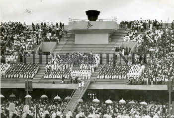 Image Id : 159863502 <span>Date : 1982-11-19 <span>Category : Sport</span>