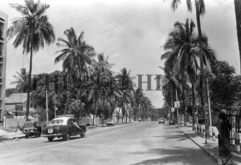 Image Id : 162169029 <span>Date : 1987-04-22 <span>Category : Environment</span>