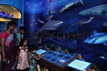 Image Id : 162874523 <span>Date : 2015-05-04 <span>Category : Science and Technology</span>