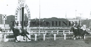 Image Id : 164227642 <span>Date : 1999-07-18 <span>Category : Sport</span>