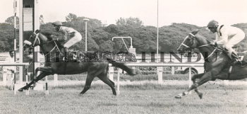 Image Id : 164382933 <span>Date : 1991-06-29 <span>Category : Sport</span>