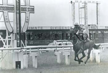 Image Id : 164539995 <span>Date : 1999-08-14 <span>Category : Sport</span>