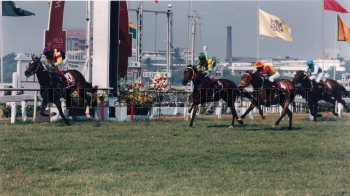 Image Id : 164540000 <span>Date : 1999-03-06 <span>Category : Sport</span>