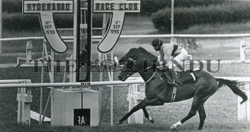 Image Id : 164569578 <span>Date : 1998-09-12 <span>Category : Sport</span>