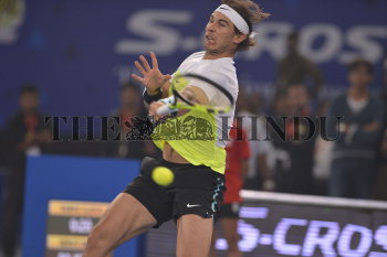 Image Id : 169443833 <span>Date : 2015-12-10 <span>Category : Sport</span>