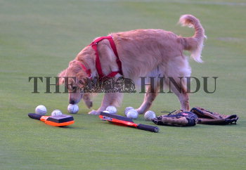 Image Id : 174295948 <span>Date : 2016-05-09 <span>Category : Sport</span>