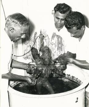 Image Id : 3219662478 <span>Date : 1963-09-14 <span>Category : Human Interest</span>
