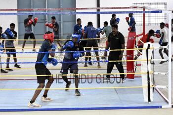 Image Id : 3254057544 <span>Date : 2025-03-11 <span>Category : Sport</span>
