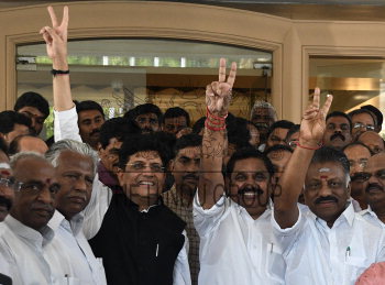 Image Id : 210128132 <span>Date : 2019-02-19 <span>Category : Politics</span>